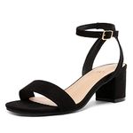 DREAM PAIRS Womens Open Toe Ankle Strap Low Block Chunky Heels Sandal Party Dress Pumps Shoes,Size 8,A-BLACK/SUEDE,CARNIVAL