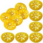 SEABABOO 12 x Plastic Wasp Catcher Bee Trap Insect Trap Plastic Wasp Catcher Bee Wasp Traps Yellow Flower Trap Fruit Fly Trap