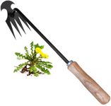 Grass Cutting Hand Tools