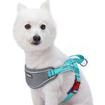 Blueberry Pet New 5 Colors Soft & Comfy 3M Reflective Strips Padded Dog Harness Vest, Chest Girth 20.5" - 26", Lake Blue, Medium, Nylon Adjustable Training Harnesses for Dogs