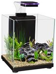 Aqua One Betta Sanctuary Glass Aquarium 10L, Blue,White,Black