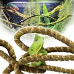 DUSPRO 10FT Reptile Vines for Climbing Bendable Branch for Reptile Natural Moss Rope Jungle Decor for Bearded Dragon, Chameleon Tank Accessories for Amphibian Habitat - Snake Gecko Lizard Terrarium