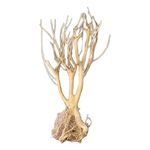 Enakshi Aquatic Ecological Aquarium Driftwood Root Trunk Tree Branch Terrarium Decor 25-30CM |Pet Supplies | Fish & Aquariums | Decorations