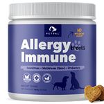 Immune System For Puppies