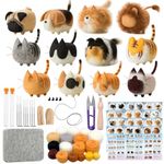 Truslin Needle Felting Kit,12 Pieces Doll Making Hobby Kit for Beginners with manual, Felting Pad and Felting Needle, felting wool for DIY Kit, Home Decoration Birthday Gift- Faceless Animals 12pcs