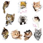 11 PCS New 3D Removable Cartoon Animal Cats Large Wall Stickers, Easy to Peel Easy to Stick Safe on Painted Walls Cute Cat Decor Posters for decorating Nursery Rooms, Study Rooms, Offices, Bedrooms