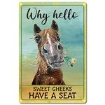 CREATCABIN Hello Sweet Cheeks Sign Vintage Horse Tin Signs Funny Metal Tin Sign Wall Art Garden House Plaque for Bathroom Kitchen Cafe Wall Halloween Christmas Decor, 8 x 12 Inch