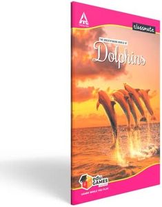Classmate Long Book - Unruled, 160 Pages, 330 mm x 210 mm - Pack Of 2