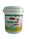 Khadi Prakritik Paint White Eco Friendly Cow Dung Emulsion Paint (10 Liters)