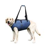 COODEO Dog Lift Harness, Pet Support & Rehabilitation Sling Lift Adjustable Padded Breathable Straps for Old, Disabled, Joint Injuries, Arthritis, Loss of Stability Dogs Walk (Blue, L)