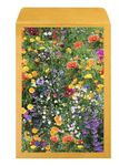 100% Pure Wild Flower Seed Mix 20 Perennial & Annual Meadow Plants Attracts Butterfly & Bees Wildflower Seeds UK (500g)