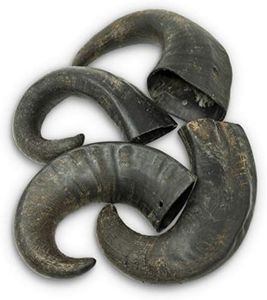 Wild Eats Water Buffalo Horn No Hide Dog Bones & Dog Chews (All Natural, Single Source Protein, GrainFree Dog Treat, Long Lasting Dog Chews & Dog Bones for Aggressive Chewers) 4 Pack, Medium-Horn