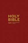 NIV Popular Bible (New International Version)