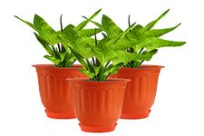 Gardens Need Plastic Jasmine Pot with Bottom Tray Set (10 Inch, Orange, 3 Pieces)