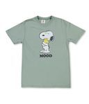 Riot Society Womens Short Sleeve Graphic Fashion T-Shirts, Peanuts Snoopy and Woodstock Mood (Bay Comfort Colors), Medium