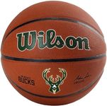 Wilson NBA Team Alliance Basketball