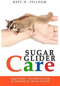 Sugar Glid