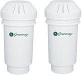 Vitapur Replacement Filter - 2 Pack