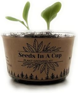 BlackBerry | Shrub Seed Starter Grow Kit | Seeds In A Cup®