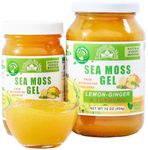 EverSmith Organics - Wildcrafted Irish Sea Moss Gel | Made in USA | Rich in Vitamins & Minerals | Sea Moss Gel Organic Raw | Nutritional Health Supplement (Lemon Ginger, 16 oz)