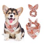 E-Clover Fall Dog Bandana & Matching Scrunchie-Leaves Dog Bandanas Girl Pet Scarf Bib for Small Dogs Puppy Owner Mom Gift Orange Pink