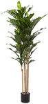 Nearly Natural Dracaena Indoor/Outdoor UV Resistant Plant, 5'