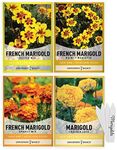 Gardeners Basics, Marigold Seeds fo