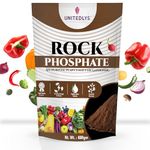 Unitedlys Rock Phosphate Fertilizer For Plants Home Garden 880GM | Single Super Phosphate Fertilizer | Crushed Powder For Fruiting & Healthy Plants for Home | Boost Bloom & Root Growth