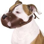 CollarDirect Dog Muzzle Pitbull Ams