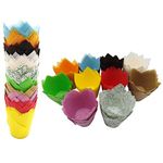 200 PCS Tulip Cupcake Liner Baking Cups Paper Cupcake and Muffin Baking Cups for Baby Showers,Weddings, Birthdays, Colourful and Natural (Ten Color)