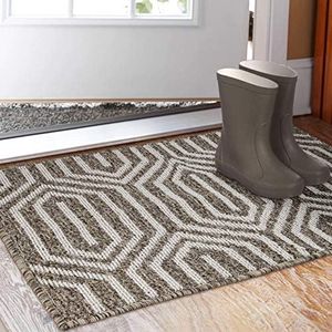 Indoor Doormat 24"x 36", Absorbent Front Back Door Mat Floor Mats, Rubber Backing Non Slip Door Mats Inside Mud Dirt Trapper Entrance Door Rug Carpet, Machine Washable Low Profile-Brown Time Cloister