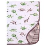 Burt's Bees Baby - Reversible Blanket, Nursery, Stroller & Tummy-Time Organic Jersey Cotton Quilted Infant & Toddler Bedding