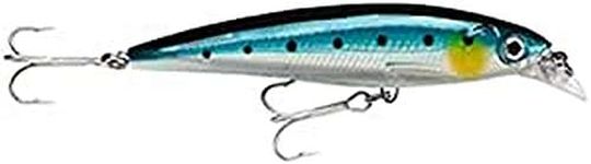 Rapala Saltwater X-Rap (Blue Sardin