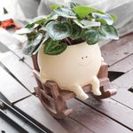 OASISCRAFT Smiling Face Plant Pot with Artificial Greenery – Cute Decorative Planter on Wooden Rocking Chair, Indoor Succulent Holder for Home or Garden Décor