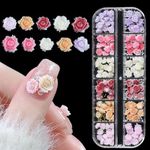 MAYCREATE® 180Pcs Nail Charms 3D Flower Nail Decals Color Resin Camellia Nail Decals Assorted Color Flower Nail Decals for DIY Nail Art Creative Nail Art Decals Nail Charms