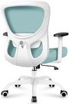 Razzor Office Chair Ergonomic Desk Chair with Adjustable Lumbar Support, Swivel Comfy Computer Chair Heavy Duty Executive Chair for Home Office (MintGreen)