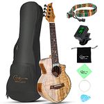 Hricane Concert Ukulele Spalted Maple 23 Inch Ukelele for Beginners, Cutaway Ukulele Professional Wood Uke with Glossy Satin Body Ukulele Stater Kit