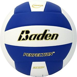 Baden Perfection Leather Volleyball, VX5EC-103-F, Royal/White, Size 5