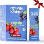PupSip Dog Hydration Mix – Berry Boost | Electrolytes & Non-GMO Superfoods for Active Dogs, Fast Rehydration for Hikes, Training & Travel, 12 Sticks
