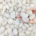 FANTIAN 2 lbs Small White Pebbles for Plant Pots, 20-30 mm Decorative White Rocks for Garden, Plants, Aquariums Rocks, White Stones for Vase and Outdoor Garden Stones