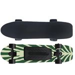 All-Terrain Electric Longboard, Electric Cruiser Skate Boards, with Remote Control- 330lb Capacity,24km/15mph Brushless Motor, 4-Speed ​​​​Control,25km Range, 2h Fast Charge,B