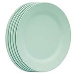 SNOMEL 11 Inch Dinner Plate Set, Ex