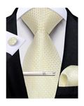 DiBanGu Champagne Tie and Pocket Square Set Mens Silk Check Tie with Cufflinks Tie Clip Set Wedding Business Plaid Necktie