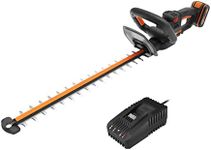 Worx WG263E 20V 57cm Cordless Brush