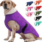 EMUST Dog Winter Coat, Thick Windproof Dog Jacket Winter, Pet Dog Winter Vest for Small/Medium/Large Dog, Purple, XXL