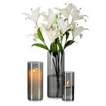 Glasseam Grey Large Glass Vase: 3Pcs Modern Cylinder Vases for Flowers Living Room Table Decorations Centrepiece - Hurricane Vases for Decor Roses Tulip Pampas Decorative Candle Holders (15/20/25cm)