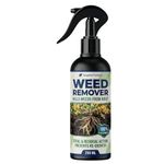 Weed & Root Remover Spray 250ml – Fast Acting Ready-to-Use Herbicide for Gardens, Lawns, Driveways & Outdoor Surfaces | Kills Unwanted Plants & Grass from Root Permanently