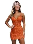 Noras dress Sweetheart Sequin Appli