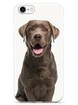 Inspired Cases Chocolate Labrador Case for iPhone 7