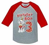 3rd Birthday Boy Shirt 3 Year Old G